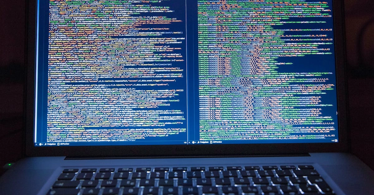 Веб-разработка с нуля для начинающих разработчиков
