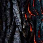 Творческий дизайн и визуальные решения слота Hot Chilli