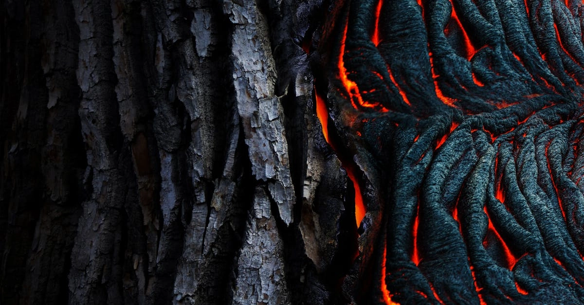 Творческий дизайн и визуальные решения слота Hot Chilli